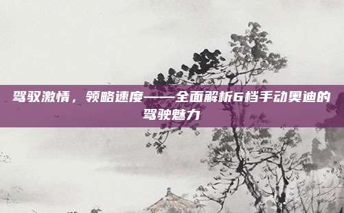 驾驭激情,领略速度——全面解析6档手动奥迪的驾驶魅力