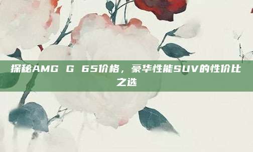 探秘AMG G 65价格,豪华性能SUV的性价比之选