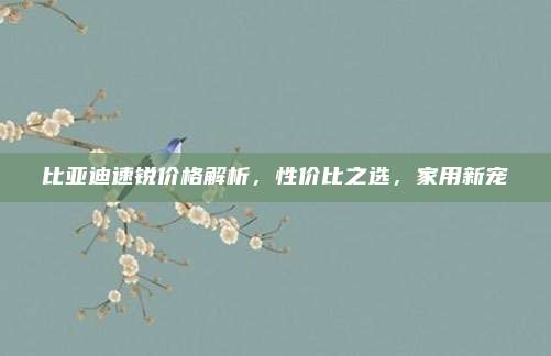 比亚迪速锐价格解析,性价比之选,家用新宠