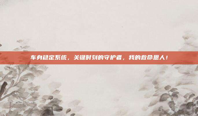 车身稳定系统,关键时刻的守护者,我的救命恩人!