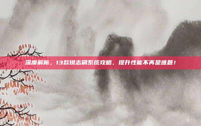 深度解析,13款锐志刷系统攻略,提升性能不再是难题!