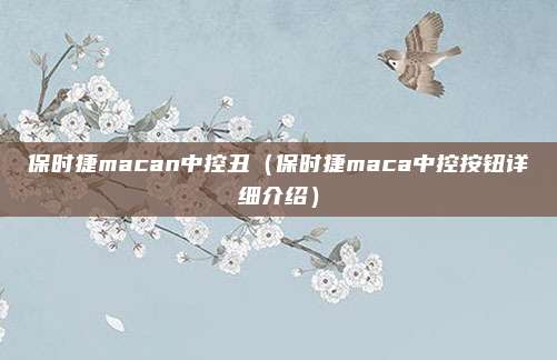 保时捷macan中控丑（保时捷maca中控按钮详细介绍）