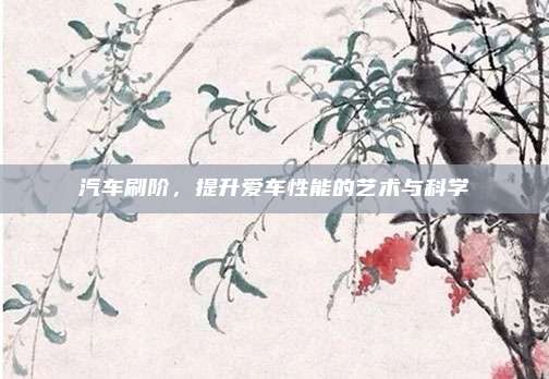 汽车刷阶,提升爱车性能的艺术与科学