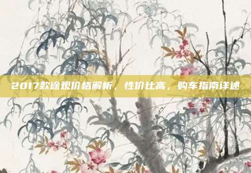 2017款途观价格解析,性价比高,购车指南详述