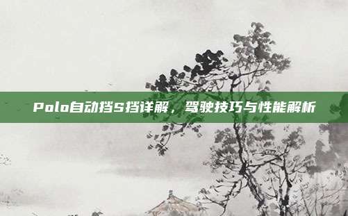 Polo自动挡S挡详解,驾驶技巧与性能解析