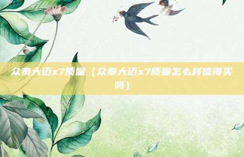 众泰大迈x7质量（众泰大迈x7质量怎么样值得买吗）