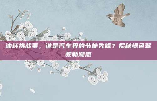 油耗挑战赛,谁是汽车界的节能先锋?揭秘绿色驾驶新潮流