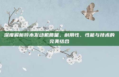 深度解析铃木发动机质量,耐用性、性能与技术的完美结合