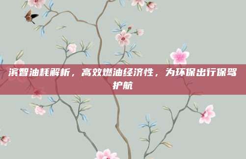 滨智油耗解析,高效燃油经济性,为环保出行保驾护航