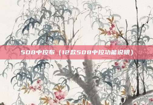 508中控布（12款508中控功能说明）