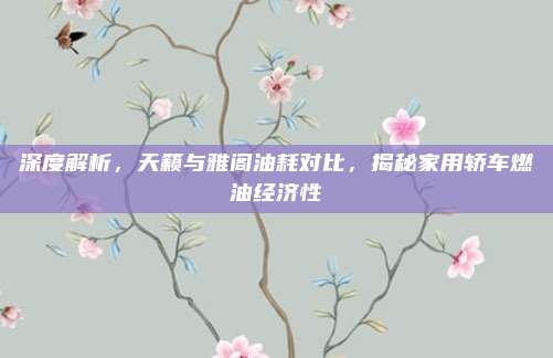 深度解析,天籁与雅阁油耗对比,揭秘家用轿车燃油经济性