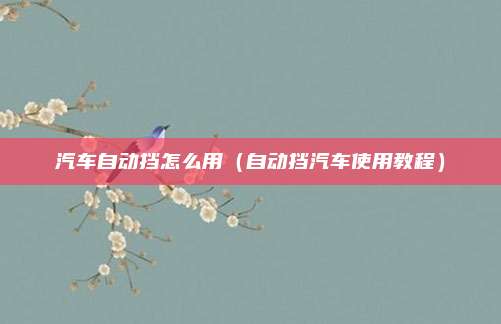 汽车自动挡怎么用（自动挡汽车使用教程）