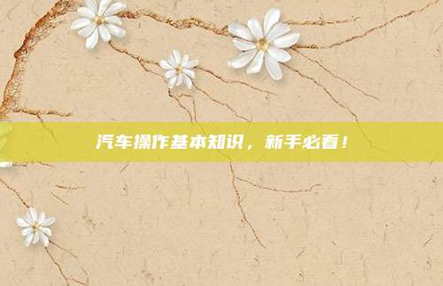 汽车操作基本知识,新手必看!