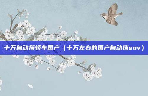 十万自动挡轿车国产（十万左右的国产自动挡suv）