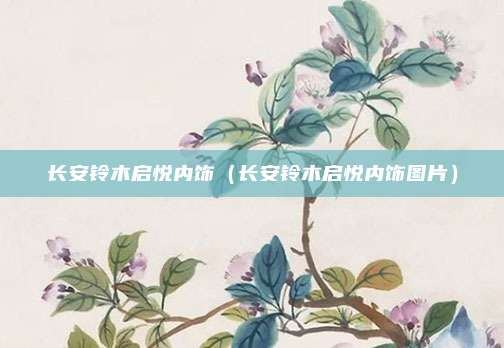 长安铃木启悦内饰(长安铃木启悦内饰图片)