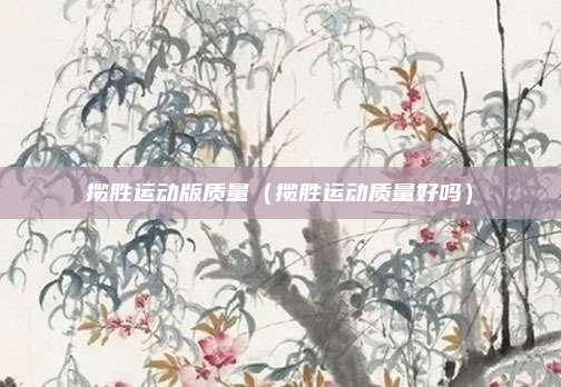 揽胜运动版质量(揽胜运动质量好吗)