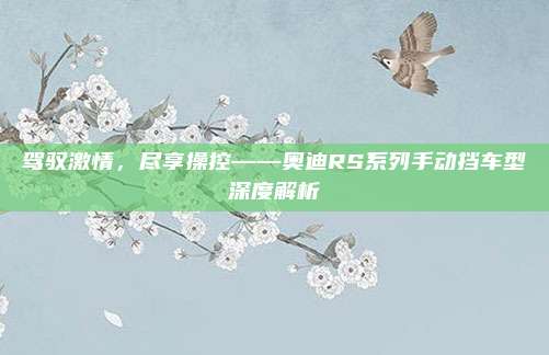驾驭激情,尽享操控——奥迪RS系列手动挡车型深度解析