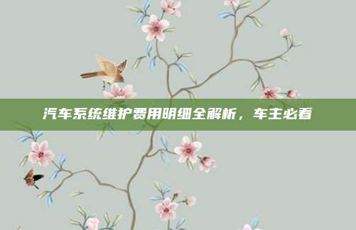 汽车系统维护费用明细全解析,车主必看