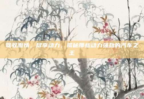 驾驭激情,尽享动力,揭秘那些动力强劲的汽车之王