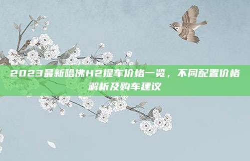 2023最新哈佛H2提车价格一览,不同配置价格解析及购车建议