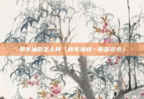 房车油耗怎么样（房车油耗一般是多少）