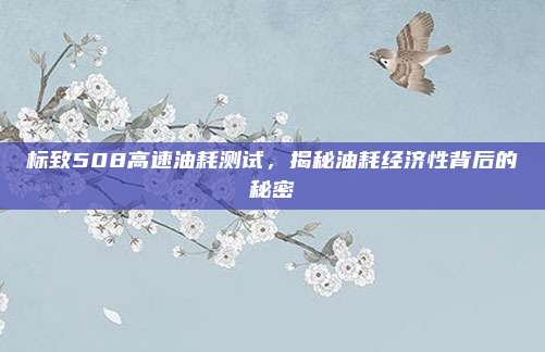 标致508高速油耗测试,揭秘油耗经济性背后的秘密
