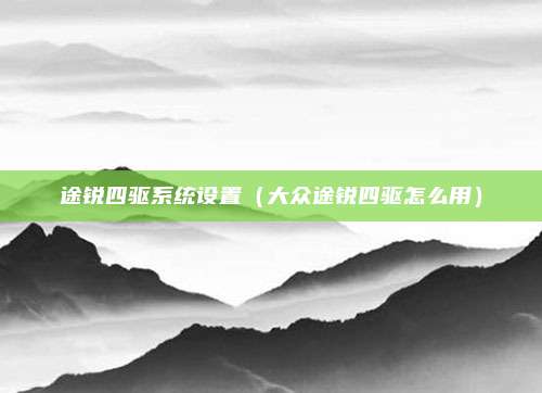 途锐四驱系统设置（大众途锐四驱怎么用）