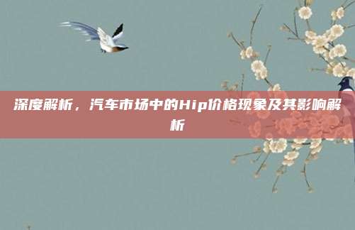 深度解析,汽车市场中的Hip价格现象及其影响解析