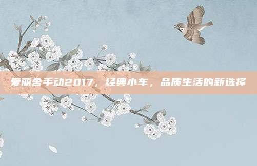 爱丽舍手动2017,经典小车,品质生活的新选择