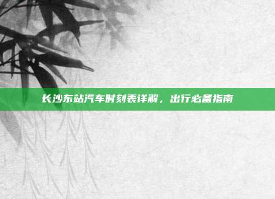 长沙东站汽车时刻表详解,出行必备指南