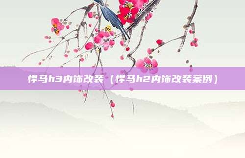 悍马h3内饰改装（悍马h2内饰改装案例）