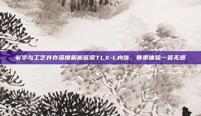豪华与工艺并存深度解析讴歌TLX-L内饰，尊贵体验一览无遗