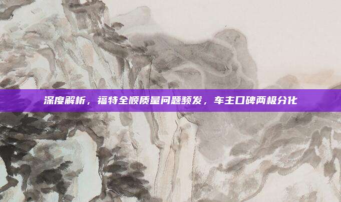 深度解析,福特全顺质量问题频发,车主口碑两极分化