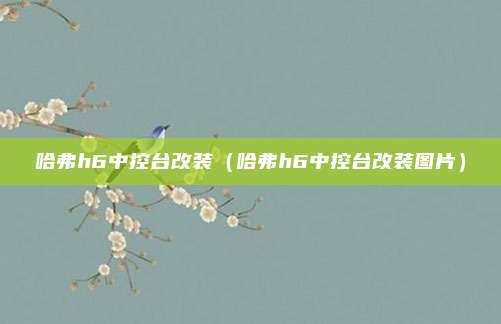 哈弗h6中控台改装(哈弗h6中控台改装图片)