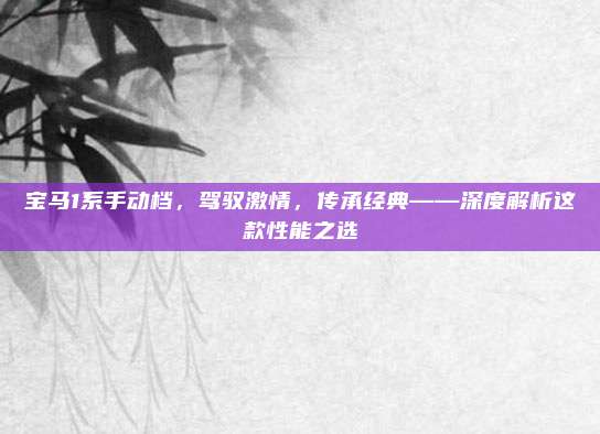 宝马1系手动档,驾驭激情,传承经典——深度解析这款性能之选