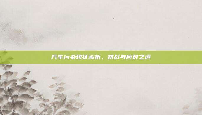 汽车污染现状解析,挑战与应对之道