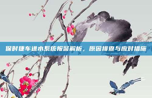 保时捷车进水系统报警解析,原因排查与应对措施
