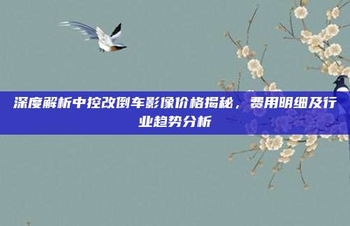 深度解析中控改倒车影像价格揭秘,费用明细及行业趋势分析