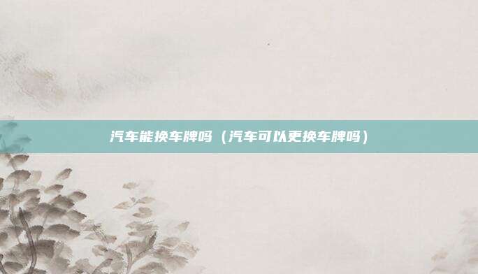 汽车能换车牌吗(汽车可以更换车牌吗)