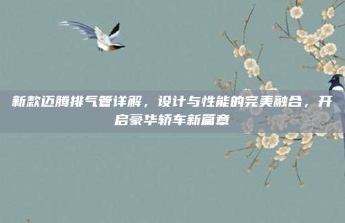 新款迈腾排气管详解，设计与性能的完美融合，开启豪华轿车新篇章
