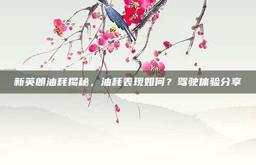 新英朗油耗揭秘,油耗表现如何?驾驶体验分享