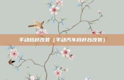 手动档杆改装(手动汽车档杆台改装)