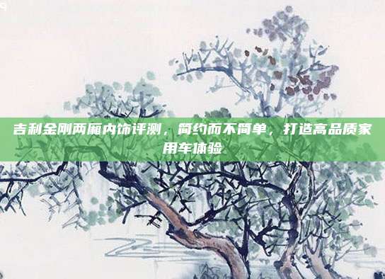 吉利金刚两厢内饰评测,简约而不简单,打造高品质家用车体验