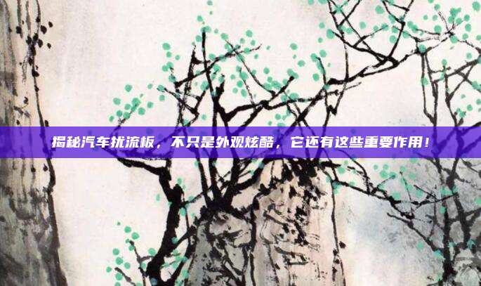 揭秘汽车扰流板,不只是外观炫酷,它还有这些重要作用!