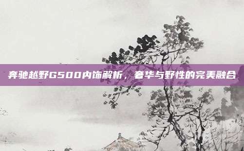 奔驰越野G500内饰解析,奢华与野性的完美融合
