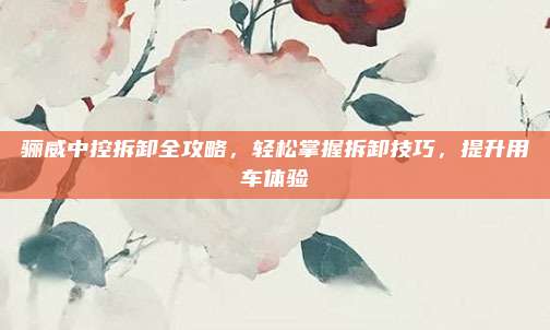骊威中控拆卸全攻略，轻松掌握拆卸技巧，提升用车体验