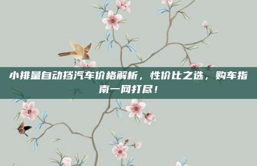 小排量自动挡汽车价格解析,性价比之选,购车指南一网打尽!