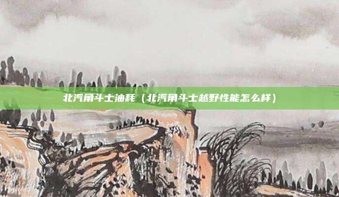 北汽角斗士油耗（北汽角斗士越野性能怎么样）