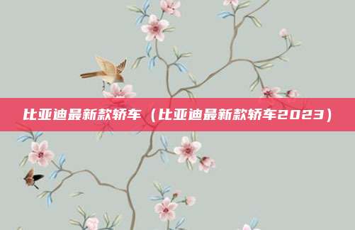比亚迪最新款轿车（比亚迪最新款轿车2023）