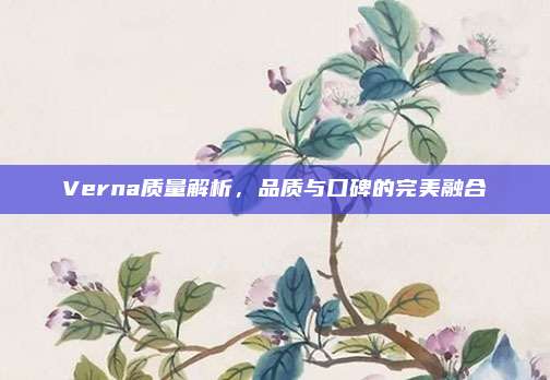 Verna质量解析,品质与口碑的完美融合